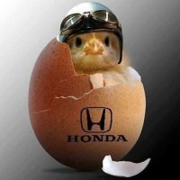 egg_honda.jpg