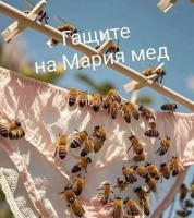 image.thumb.png.241134ad8ddc301b7dd9f9d811c3f575.png