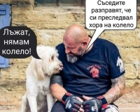 image.thumb.png.35a084072b07efcf874456bea1556c14.png