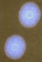 1787247794_Yacco5W30GDI5000km004.thumb.jpg.db86d3e5d15dfb5b825ebbaa37f5c4a7.jpg