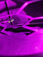 IMG_20250429_222136.thumb.jpg.78c3d45a7a9996b24f49bfae01369982.jpg