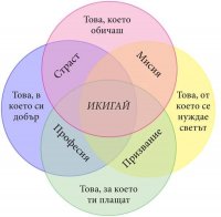 FB_IMG_1749402544103.jpg