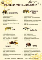 image.thumb.png.76167be1bed8e05c6e517ba19a073170.png