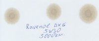 1371365320_RavenolDXG5W305000km001.thumb.jpg.0a1e61232ea4bda074386569b2bc32b7.jpg