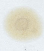 1754495244_Yacco5W30GDI8000km002.thumb.jpg.33f38221001f98f3cb2263d9e6fd0b3f.jpg
