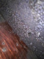 IMG-85559729806274f9e91f91b9b300a3ca-V.thumb.jpg.b179297bb5b2fbda63f196e775c87fbf.jpg