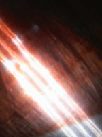 IMG-95394a00df4860c699b9eece3b7b5922-V.thumb.jpg.d6425d8efce08332d018896d6cbbf90a.jpg