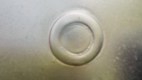 IMG_0176.jpeg