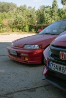 IMG_0917-1.jpg