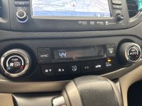 IMG_2591.jpeg