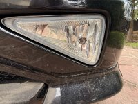 IMG_6168.thumb.jpeg.f82e6e0005d44289bc55aec73c6047a3.jpeg