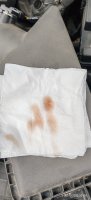 IMG_20251008_100449.jpg