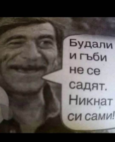 image.thumb.png.bcc9bf4be2a74881ef181870452583e5.png