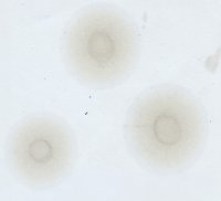 петро канада 1800км 001(1).jpg