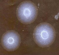 петро канада 1800км 002(1).jpg