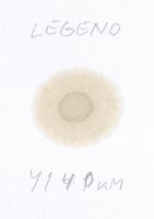 LEGEND new oil  02.02.2026.JPG