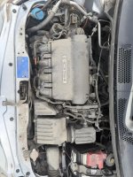 IMG_1783.jpeg