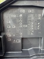 IMG_6095.jpeg