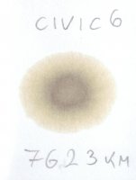 CIVIC new oil  05.02.20260001.JPG