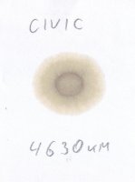 CIVIC new oil  05.02.2026.JPG