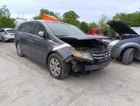 IMG_20250508_170354.jpg