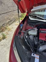 IMG_3976.jpeg
