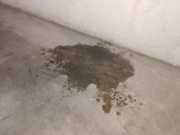 IMG_20260828_142335174.thumb.jpg.61ecd7cf49d650ce031f7e1176c974ad.jpg