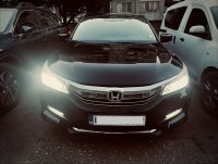 IMG_3458.jpeg