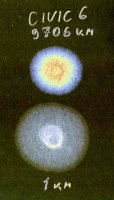 Pila_CivitooldDXGoil10_09._2026.thumb.JPG.e7e73dc990d746ac58269043629853ad.JPG